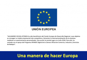 Programa XPANDE Digital — Cámara de Comercio + FEDER